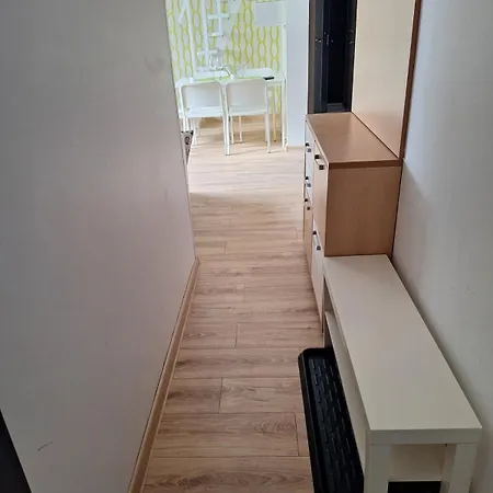 R&m Kraljevi Cardaci * Kopaonik